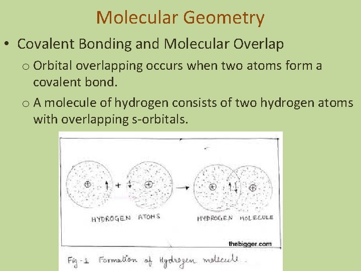 Molecular Geometry • Covalent Bonding and Molecular Overlap o Orbital overlapping occurs when two