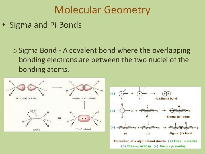Molecular Geometry • Sigma and Pi Bonds o Sigma Bond - A covalent bond