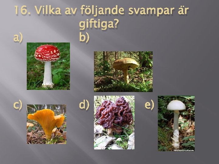 16. Vilka av följande svampar är giftiga? a) b) c) d) e) 