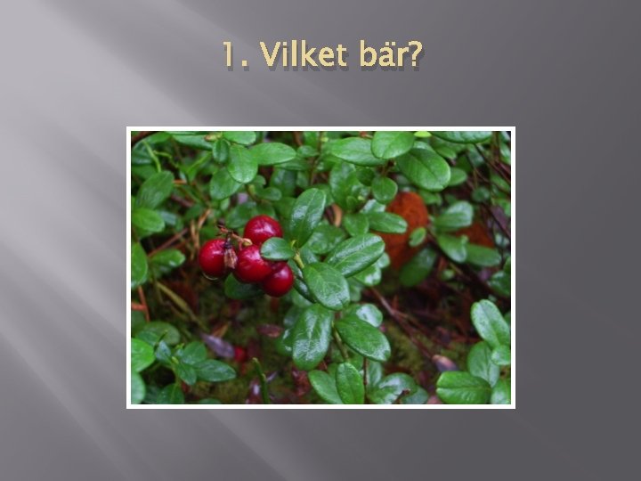 1. Vilket bär? 