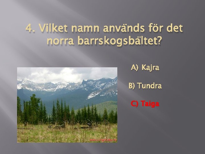 4. Vilket namn används för det norra barrskogsbältet? A) Kajra B) Tundra C) Taiga