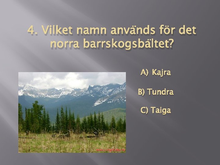 4. Vilket namn används för det norra barrskogsbältet? A) Kajra B) Tundra C) Taiga