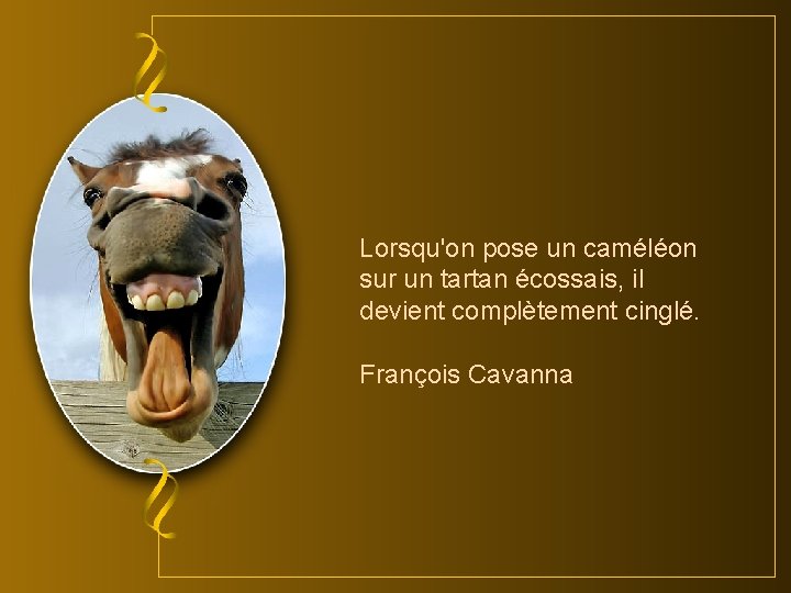 Lorsqu'on pose un caméléon sur un tartan écossais, il devient complètement cinglé. François Cavanna