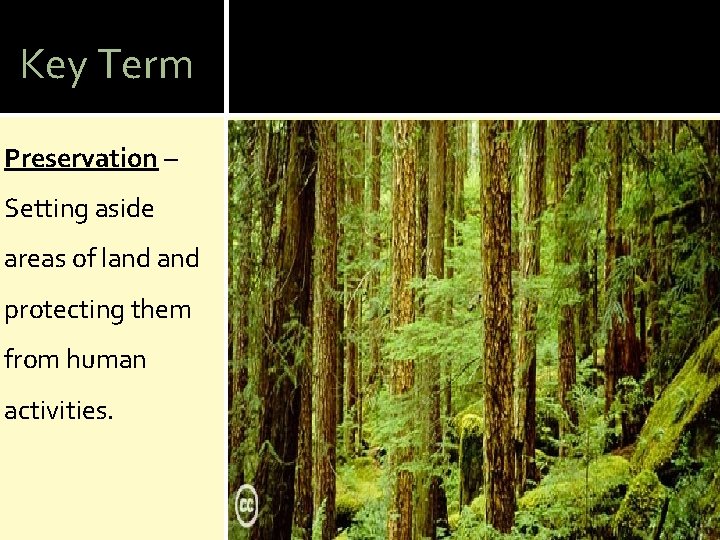 Key Term Preservation – Setting aside areas of land protecting them from human activities.