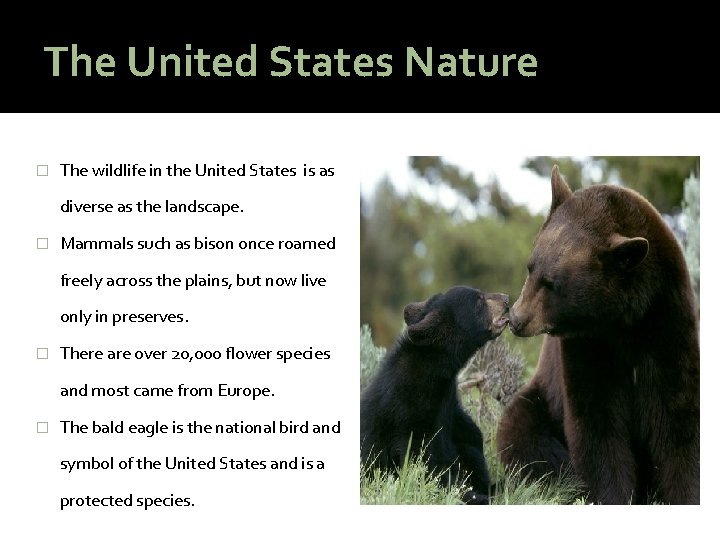 The United States Nature � The wildlife in the United States is as diverse