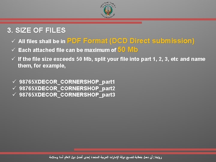 3. SIZE OF FILES ü All files shall be in PDF ü Format (DCD