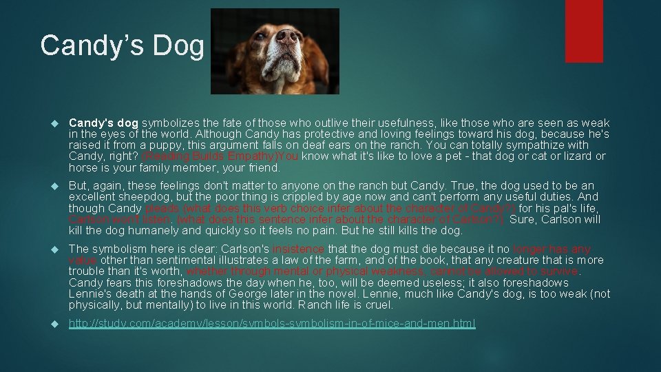 Candy’s Dog Candy's dog symbolizes the fate of those who outlive their usefulness, like
