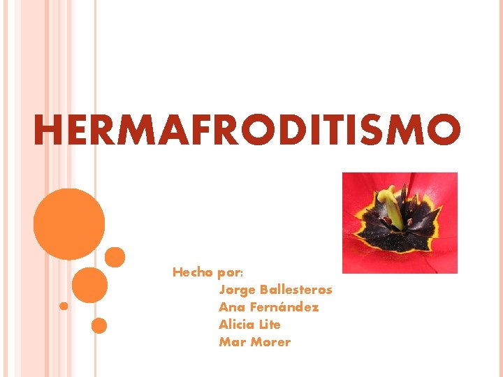 Featured image of post The Best 9 Hermafroditismo En Seres Humanos