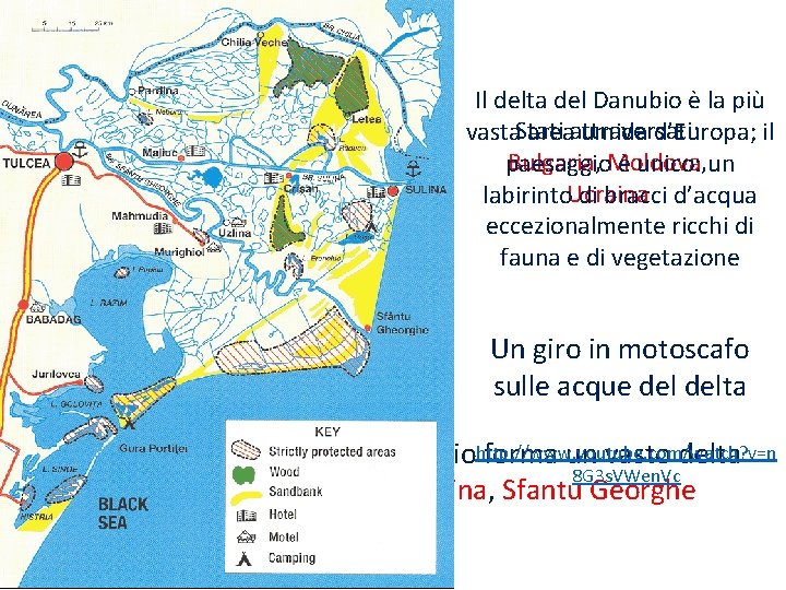 Basso corso: dalle Porte di Ferro al Mar nero Il delta del Danubio è