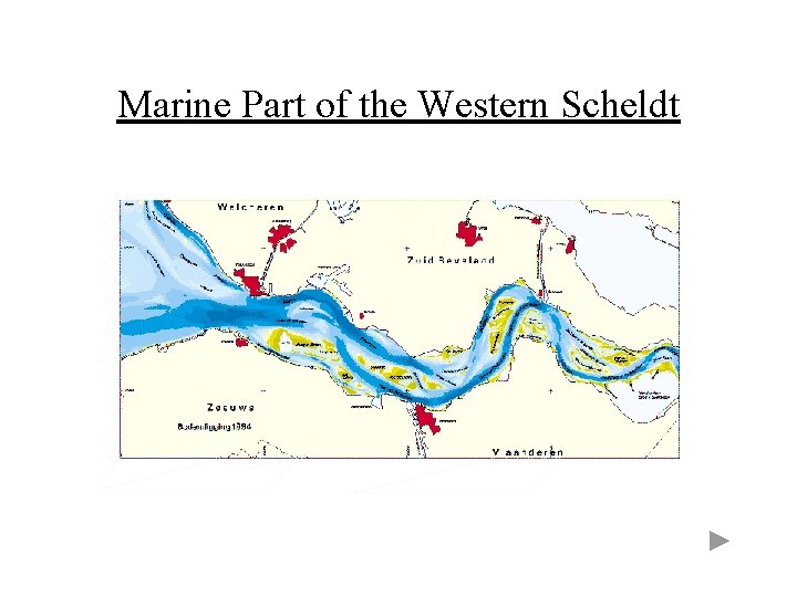 Marine Part of the Western Scheldt 