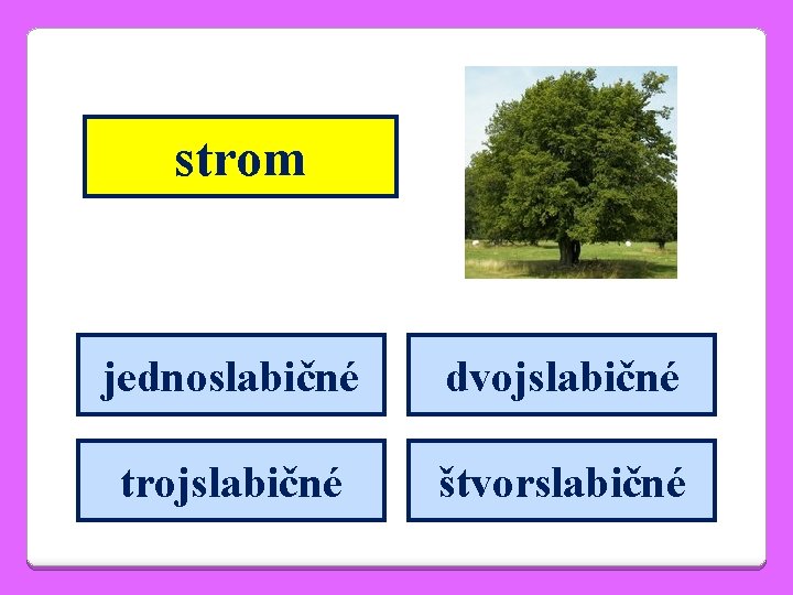 strom jednoslabičné dvojslabičné trojslabičné štvorslabičné 