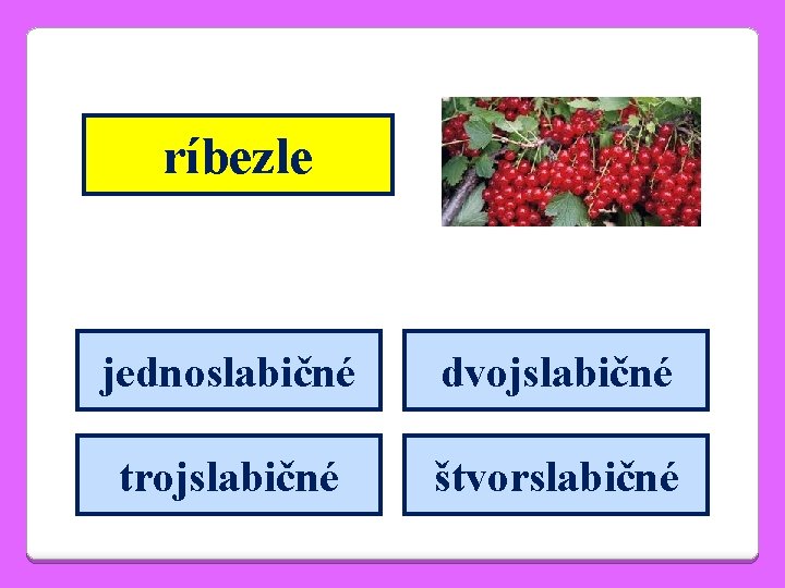 ríbezle jednoslabičné dvojslabičné trojslabičné štvorslabičné 