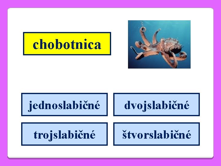 chobotnica jednoslabičné dvojslabičné trojslabičné štvorslabičné 