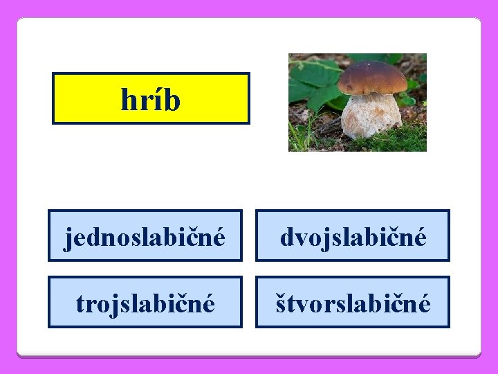 hríb jednoslabičné dvojslabičné trojslabičné štvorslabičné 