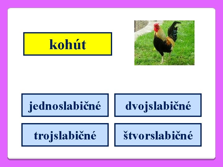 kohút jednoslabičné dvojslabičné trojslabičné štvorslabičné 