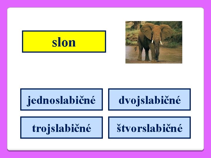 slon jednoslabičné dvojslabičné trojslabičné štvorslabičné 