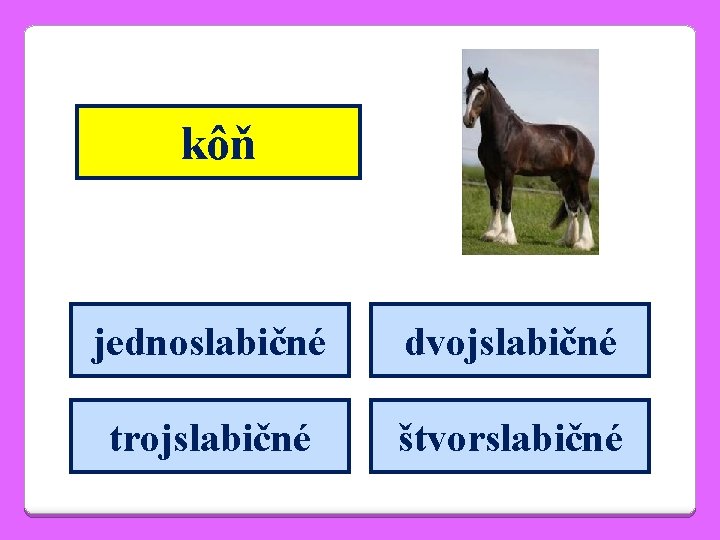 kôň jednoslabičné dvojslabičné trojslabičné štvorslabičné 