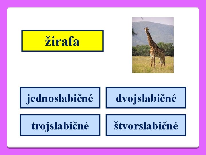 žirafa jednoslabičné dvojslabičné trojslabičné štvorslabičné 