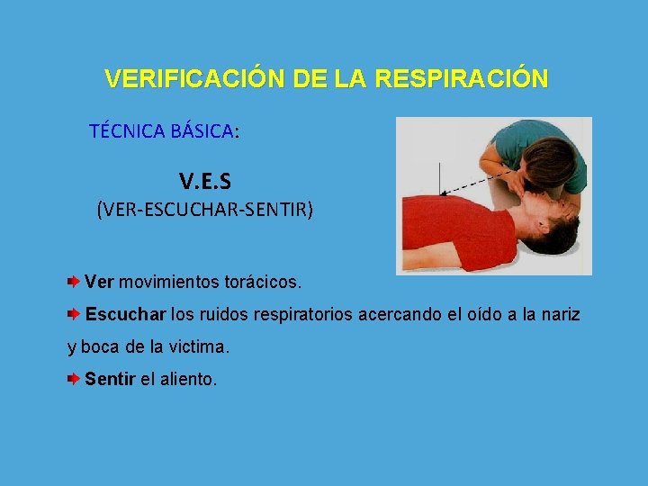 VERIFICACIÓN DE LA RESPIRACIÓN TÉCNICA BÁSICA: V. E. S (VER-ESCUCHAR-SENTIR) Ver movimientos torácicos. Escuchar