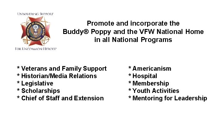 Promote and incorporate the Buddy® Poppy and the VFW National Home in all National