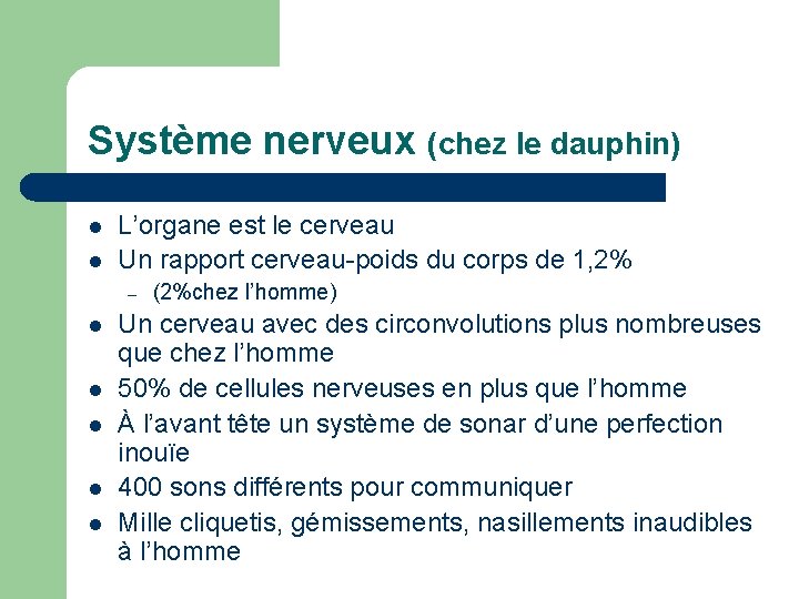 Système nerveux (chez le dauphin) l l L’organe est le cerveau Un rapport cerveau-poids