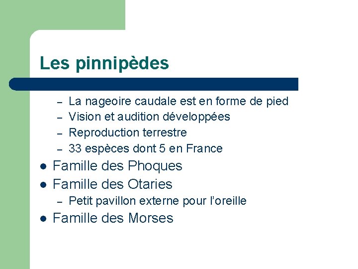 Les pinnipèdes – – l l Famille des Phoques Famille des Otaries – l