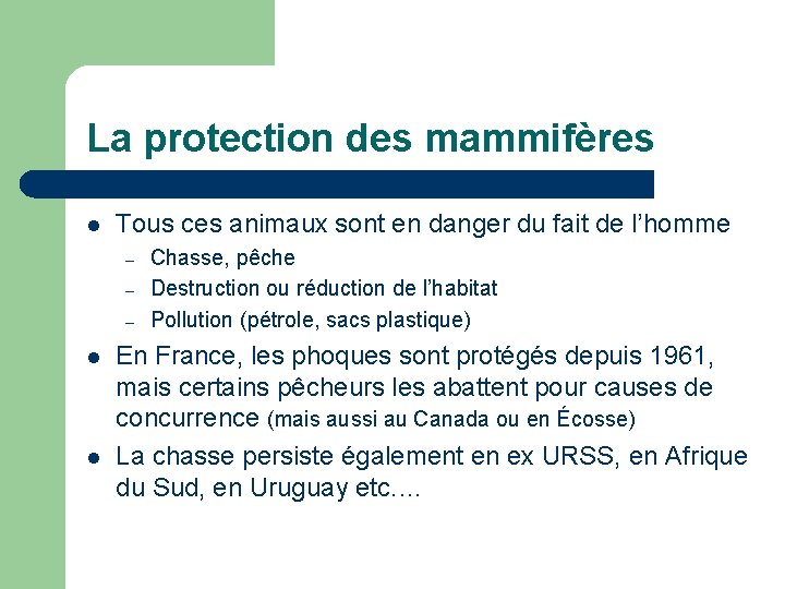 La protection des mammifères l Tous ces animaux sont en danger du fait de