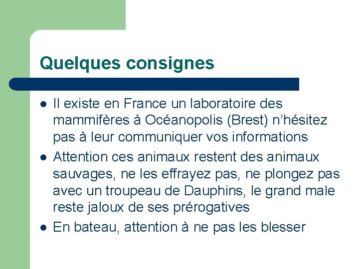 Quelques consignes l l l Il existe en France un laboratoire des mammifères à