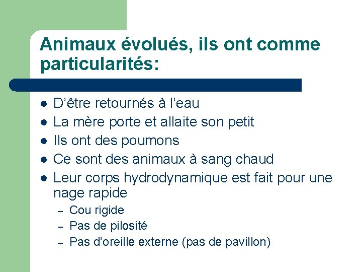 Animaux évolués, ils ont comme particularités: l l l D’être retournés à l’eau La