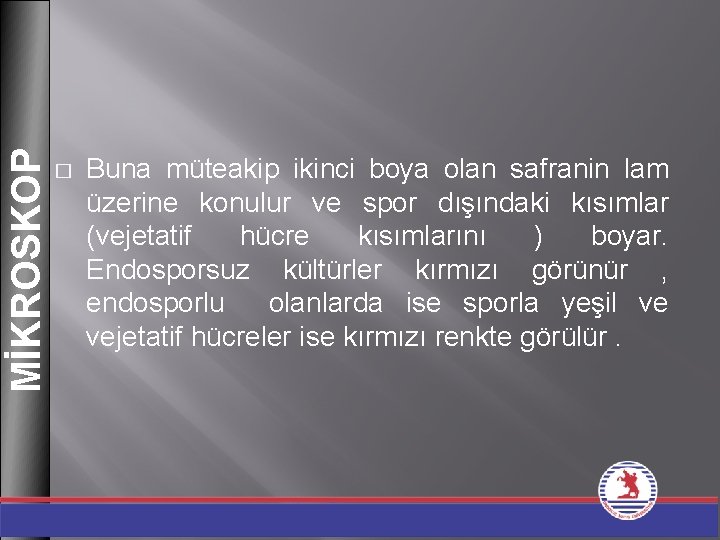 MİKROSKOP � Buna müteakip ikinci boya olan safranin lam üzerine konulur ve spor dışındaki