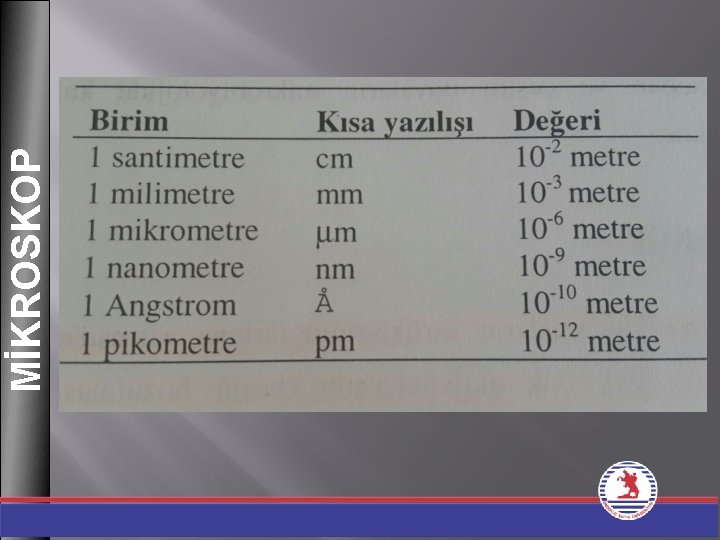 5 MİKROSKOP 