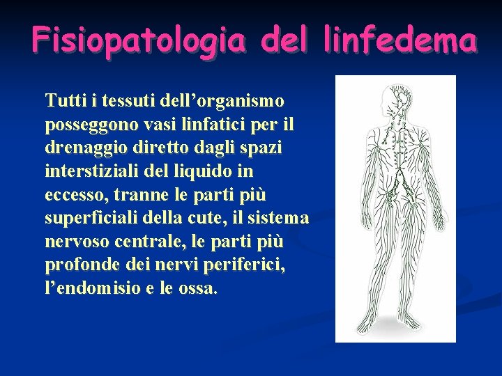 Fisiopatologia del linfedema Tutti i tessuti dell’organismo posseggono vasi linfatici per il drenaggio diretto