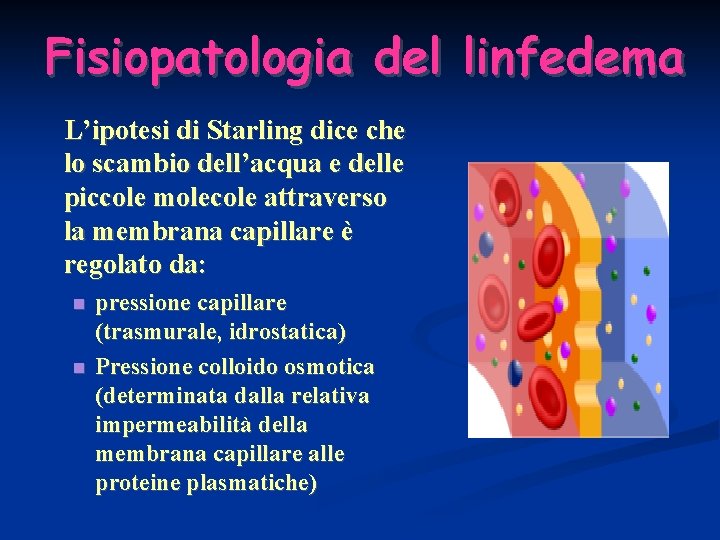 Fisiopatologia del linfedema L’ipotesi di Starling dice che lo scambio dell’acqua e delle piccole