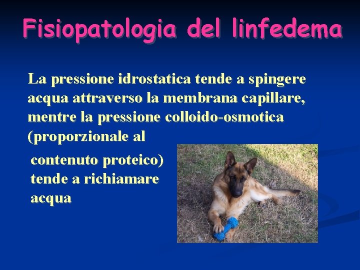 Fisiopatologia del linfedema La pressione idrostatica tende a spingere acqua attraverso la membrana capillare,