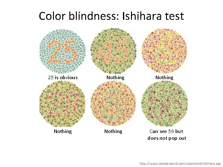 Color blindness: Ishihara test 25 is obvious Nothing Can see 56 but does not