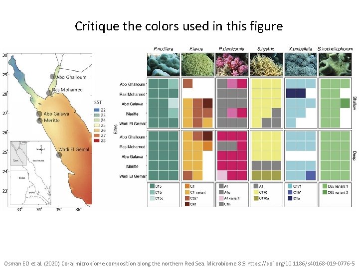 Critique the colors used in this figure Osman EO et al. (2020) Coral microbiome
