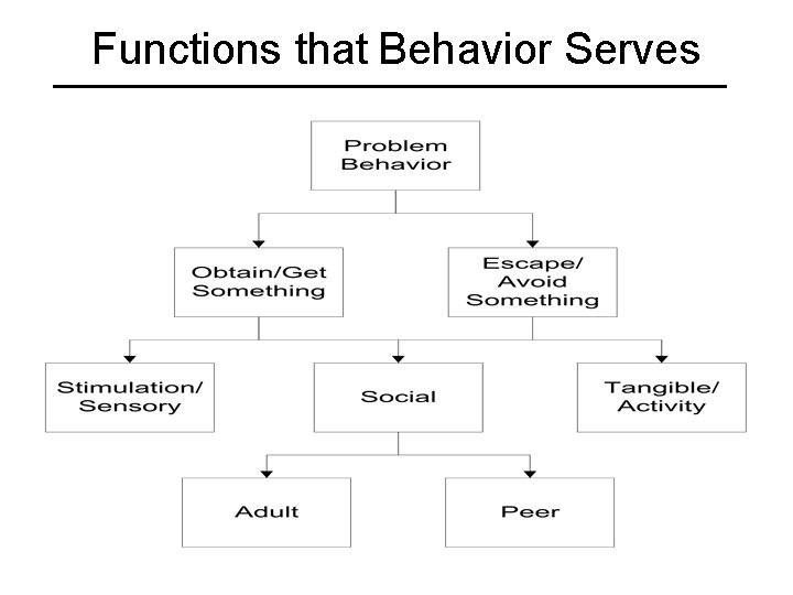Functions that Behavior Serves 