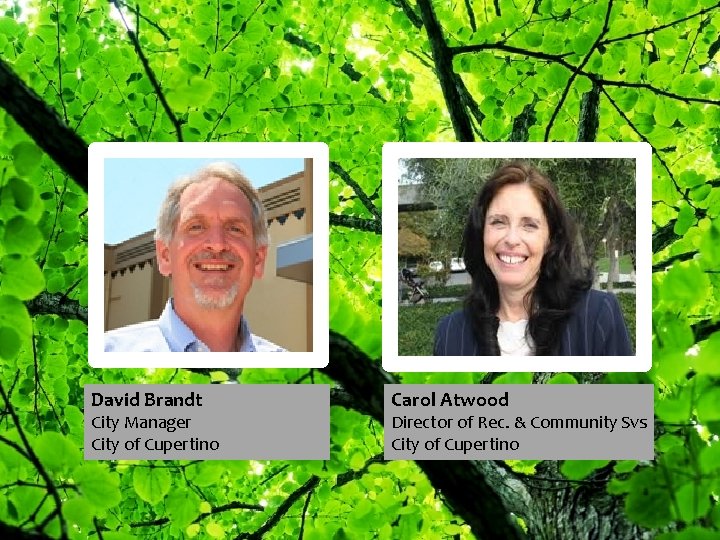 David Brandt City Manager City of Cupertino Carol Atwood Director of Rec. & Community