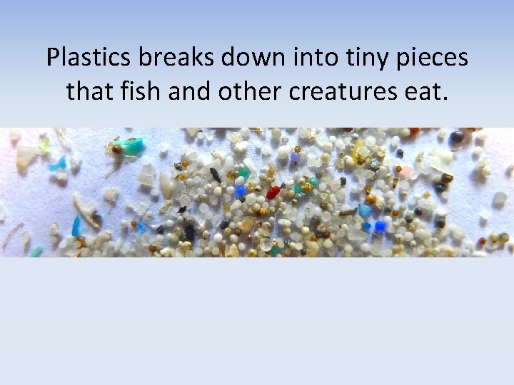 Plastics breaks down into tiny pieces that fish and other creatures eat. 
