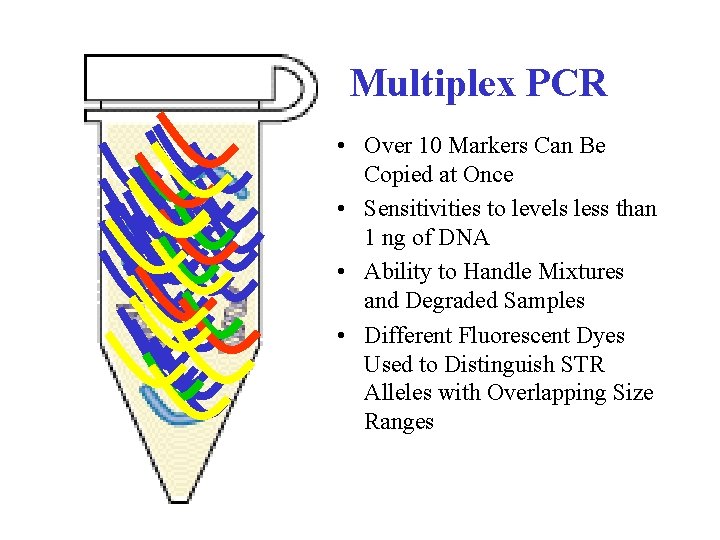 Multiplex PCR • Over 10 Markers Can Be Copied at Once • Sensitivities to