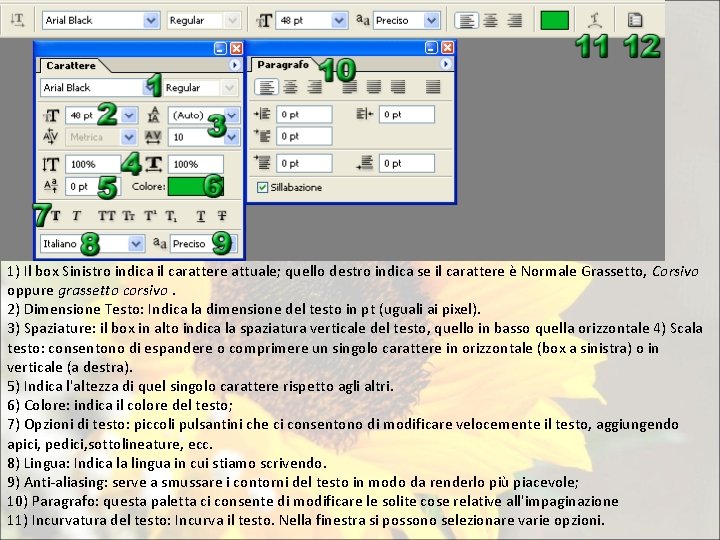 1) Il box Sinistro indica il carattere attuale; quello destro indica se il carattere