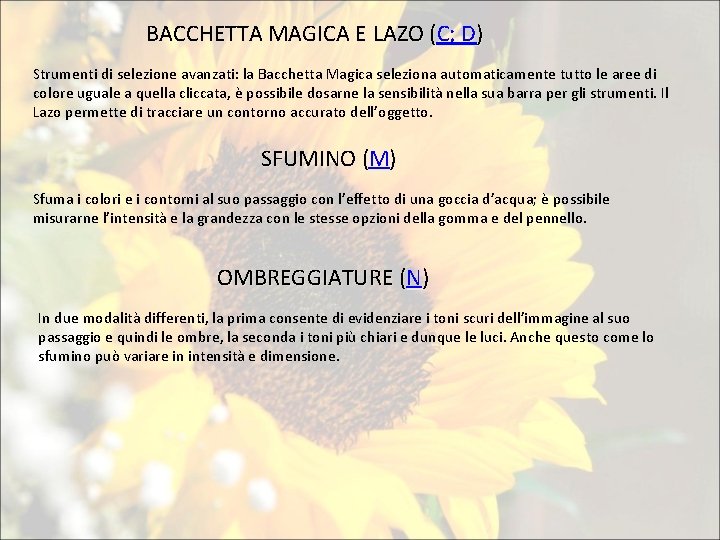 BACCHETTA MAGICA E LAZO (C; D) Strumenti di selezione avanzati: la Bacchetta Magica seleziona