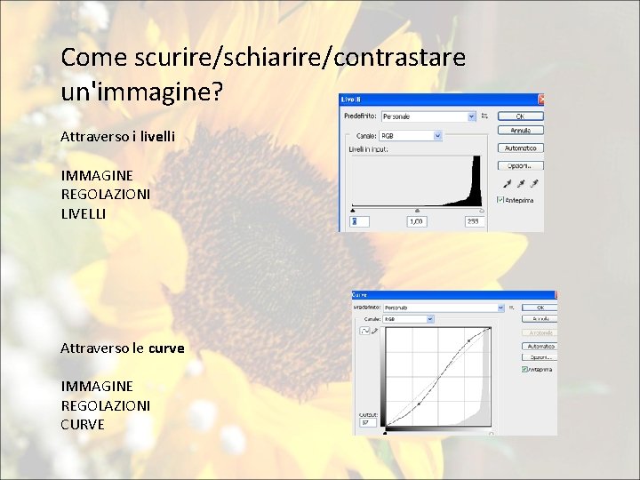 Come scurire/schiarire/contrastare un'immagine? Attraverso i livelli IMMAGINE REGOLAZIONI LIVELLI Attraverso le curve IMMAGINE REGOLAZIONI