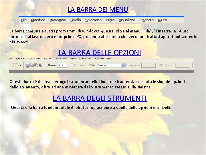 LA BARRA DEI MENU La barra comune a tutti i programmi di windows. questa,