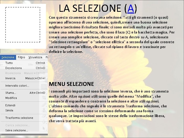 LA SELEZIONE (A) Con questo strumento si crea una selezione. Tutti gli strumenti (o