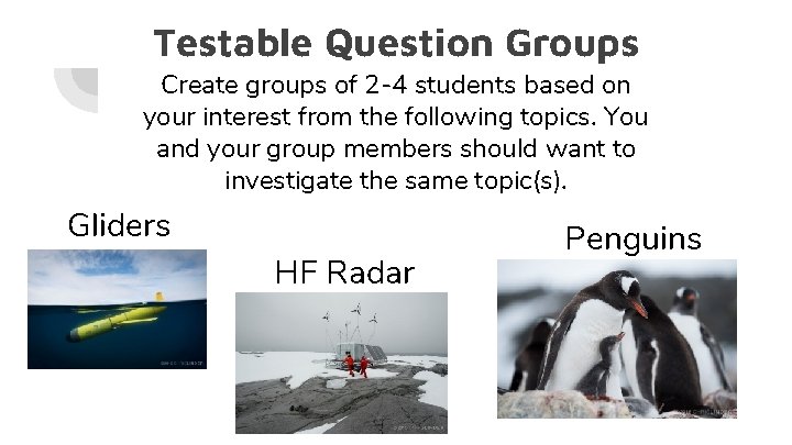 Testable Question Groups Create groups of 2 -4 students based on your interest from