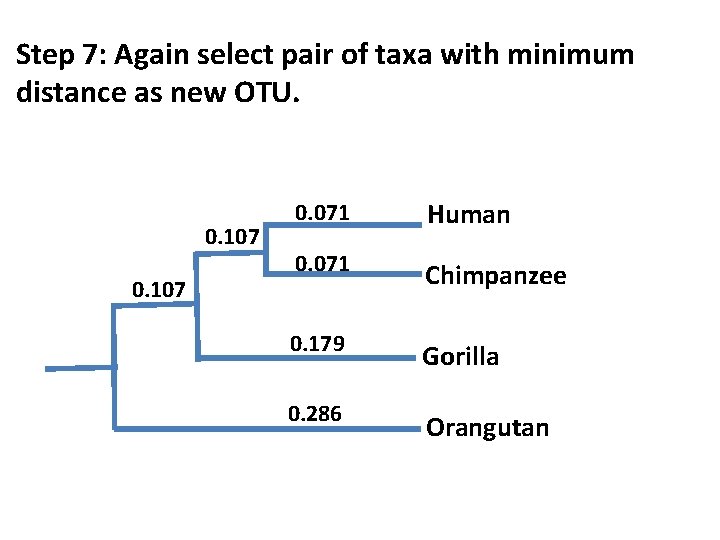Step 7: Again select pair of taxa with minimum distance as new OTU. 0.