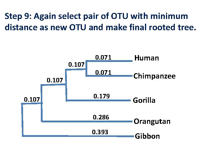 Step 9: Again select pair of OTU with minimum distance as new OTU and