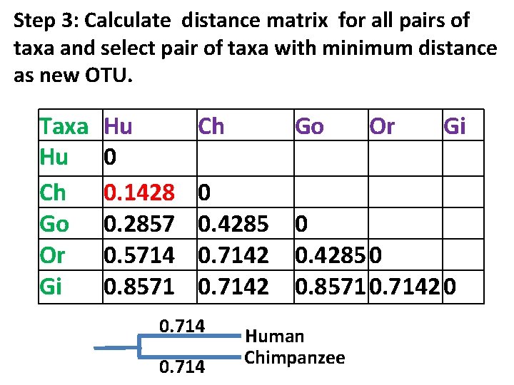 Step 3: Calculate distance matrix for all pairs of taxa and select pair of