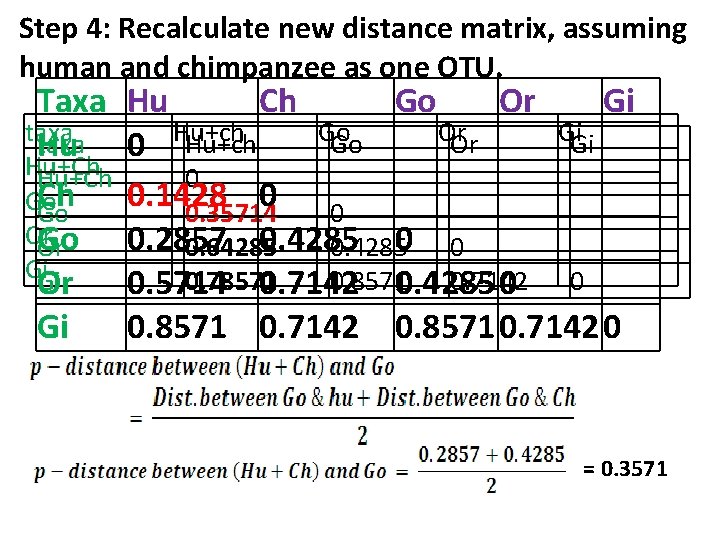 Step 4: Recalculate new distance matrix, assuming human and chimpanzee as one OTU. Taxa